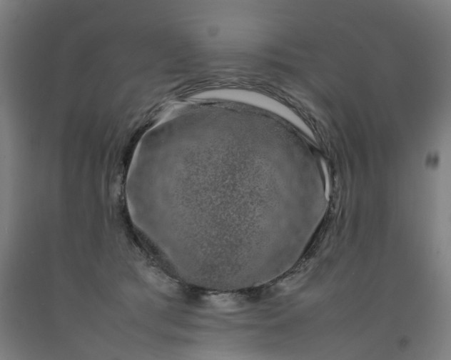 X0000092240417200709281128