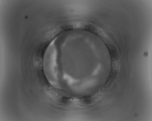 X0000092240419200709281128