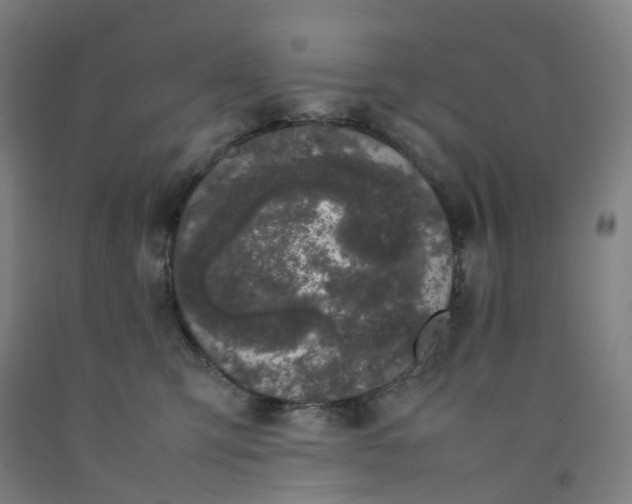 X0000092240423200709281128