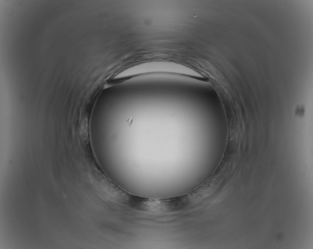 X0000092240425200709281128