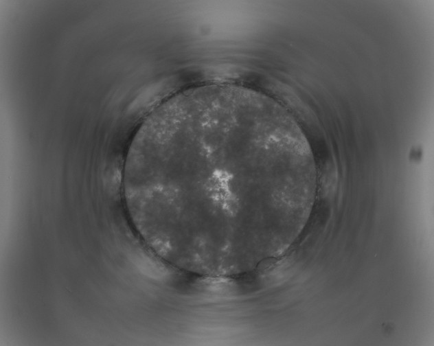 X0000092240427200709281128