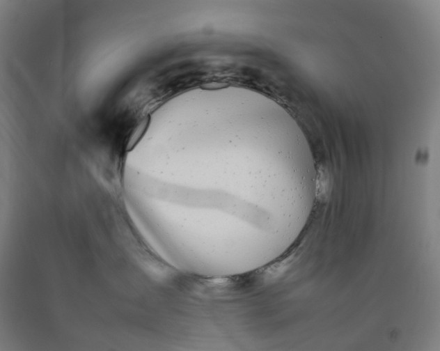 X0000092240431200709281128