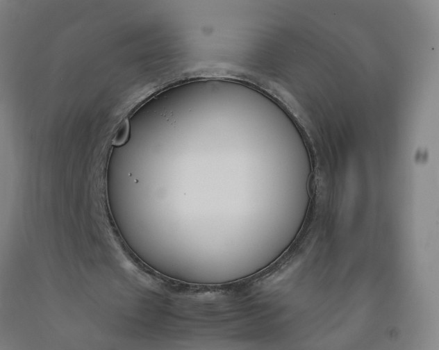 X0000092240433200709281127