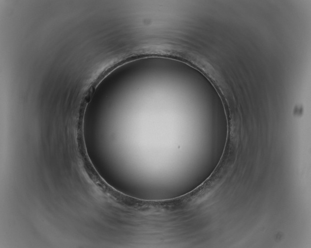 X0000092240434200709281127