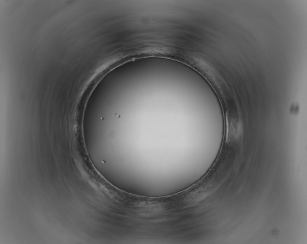 X0000092240435200709281127