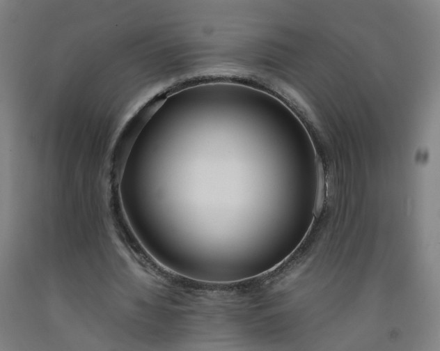 X0000092240436200709281127