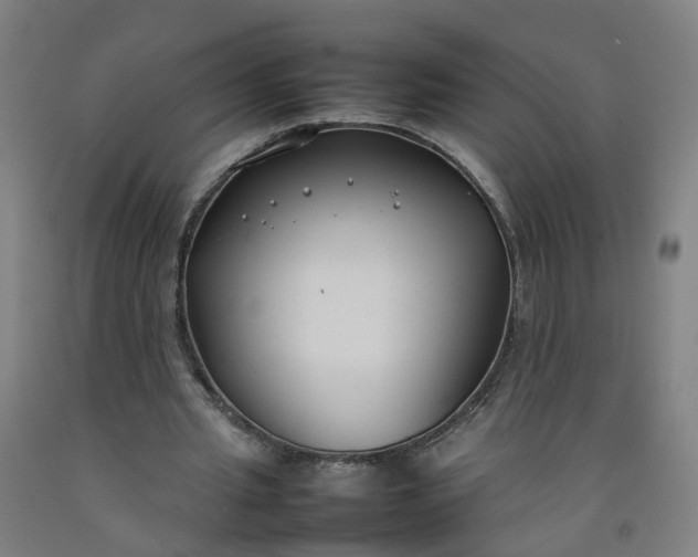 X0000092240437200709281127