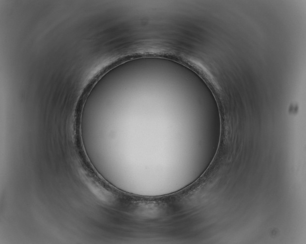 X0000092240439200709281127