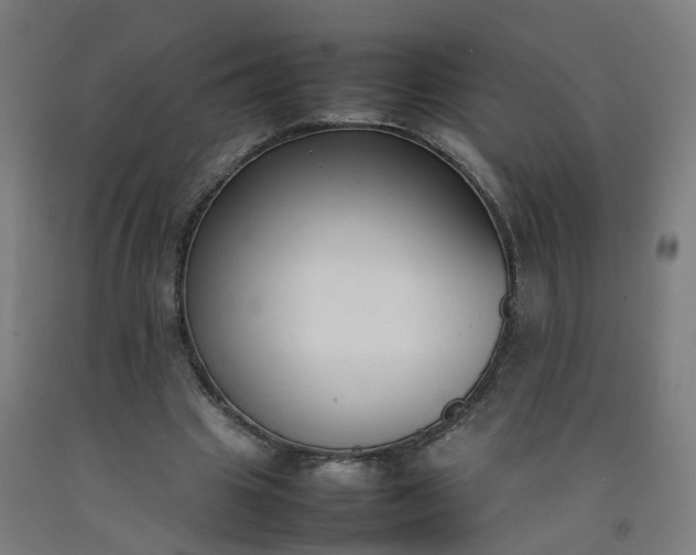 X0000092240441200709281127