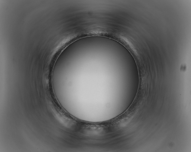 X0000092240443200709281127