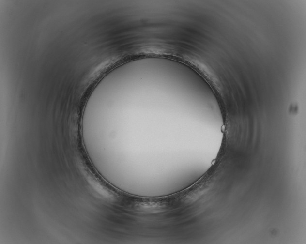 X0000092240445200709281127