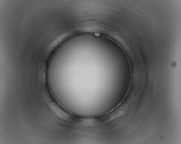 X0000092240446200709281127