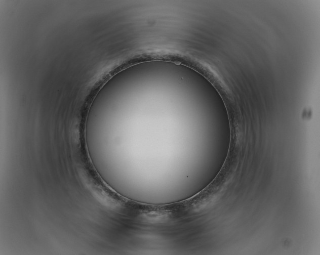 X0000092240447200709281127