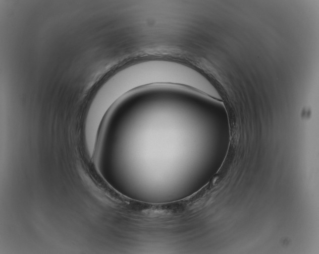 X0000092240448200709281127