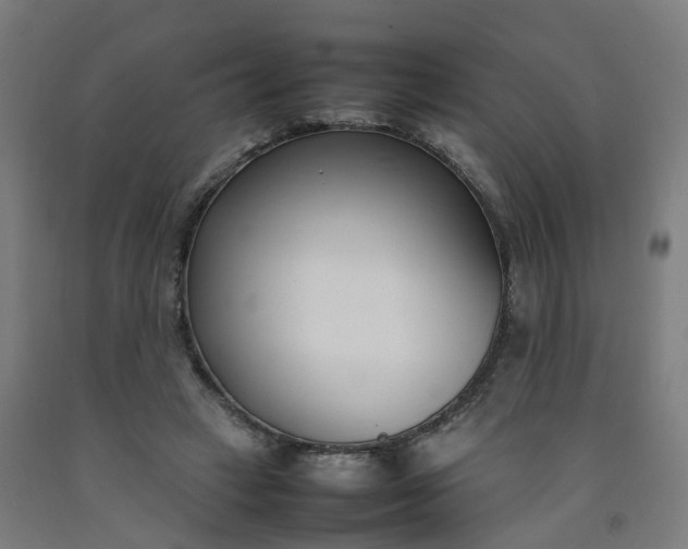 X0000092240449200709281127