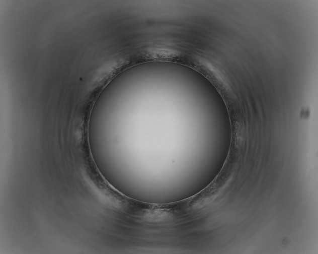 X0000092240451200709281127