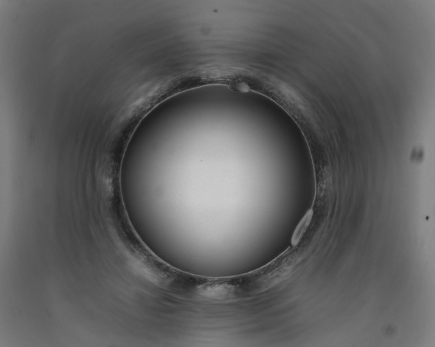 X0000092240452200709281127