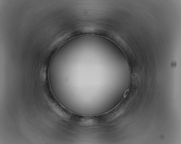 X0000092240454200709281127