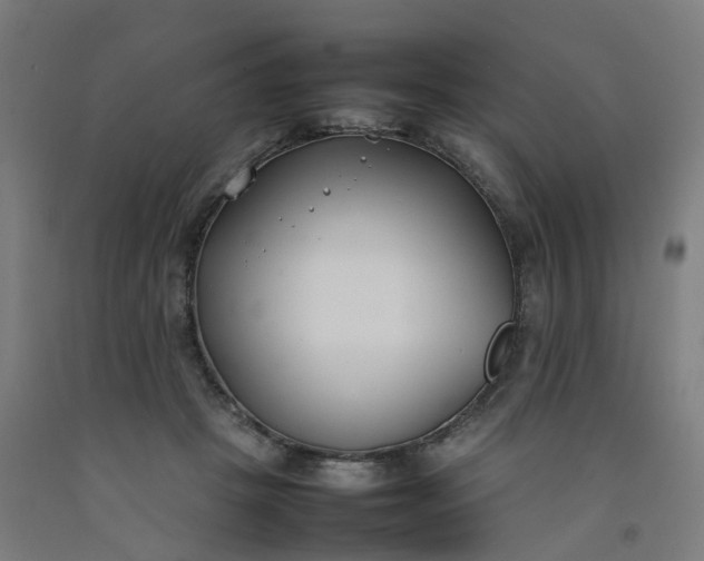 X0000092240457200709281127