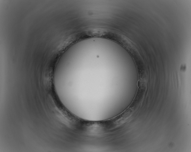 X0000092240460200709281127