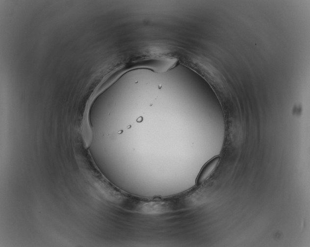 X0000092240461200709281127