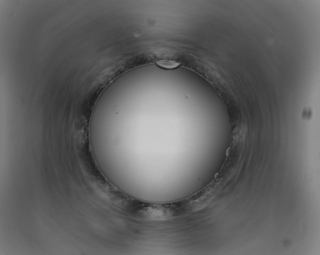 X0000092240464200709281127