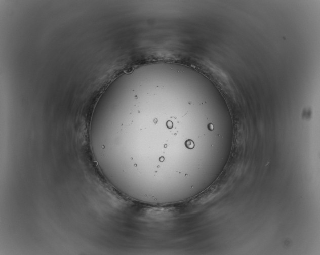 X0000092240465200709281127