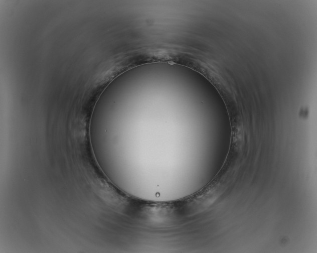 X0000092240466200709281127