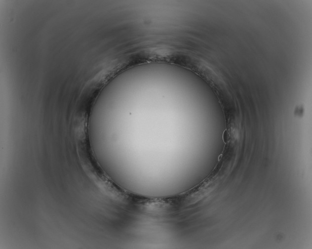 X0000092240468200709281127