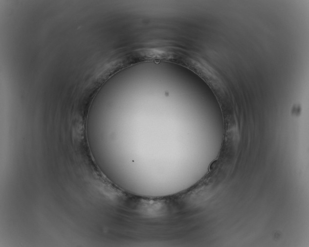 X0000092240469200709281127