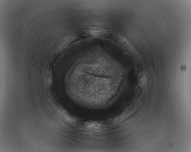 X0000092240471200709281127