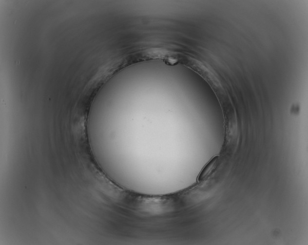 X0000092240473200709281127