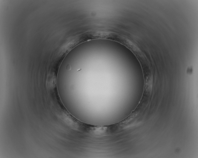 X0000092240474200709281127