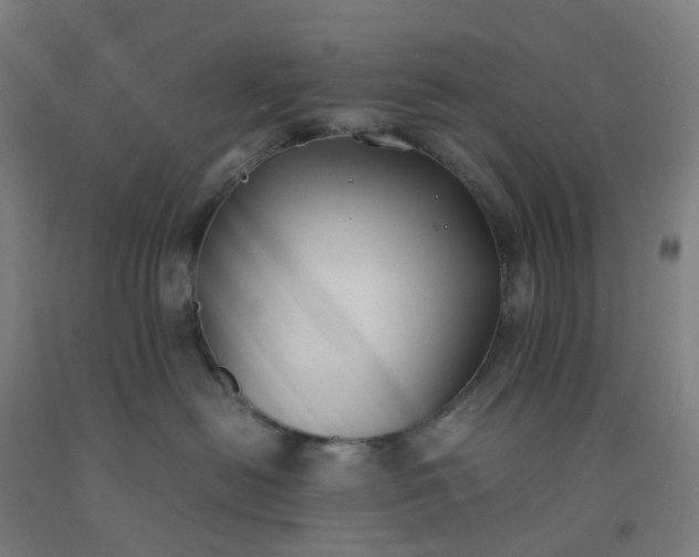 X0000092240478200709281128