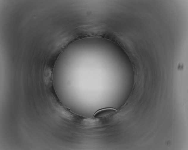 X0000092240480200709281128