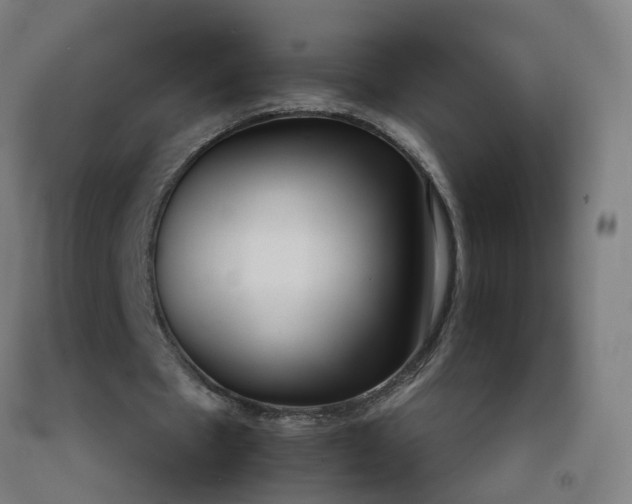 X0000092240481200709281127