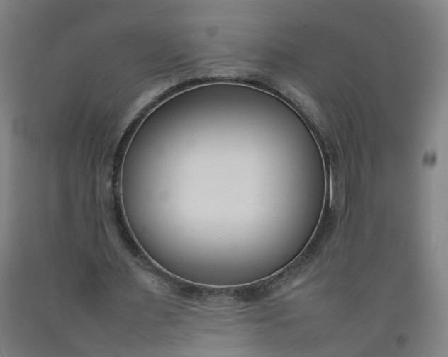 X0000092240483200709281127