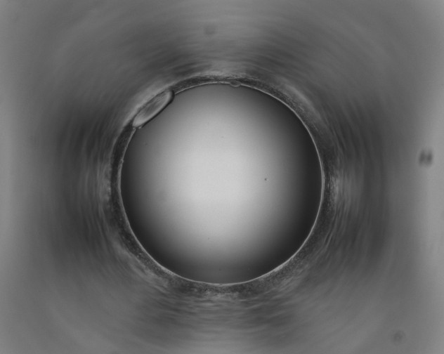 X0000092240484200709281127