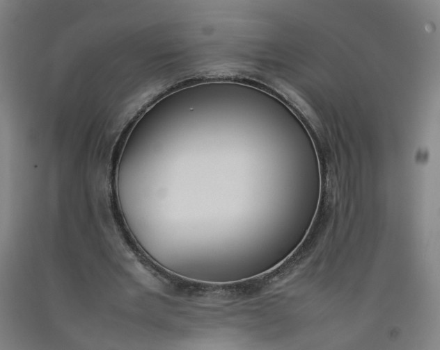 X0000092240485200709281127