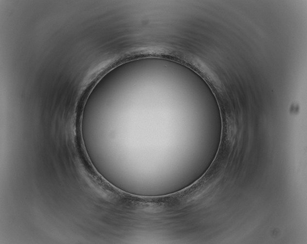 X0000092240486200709281127