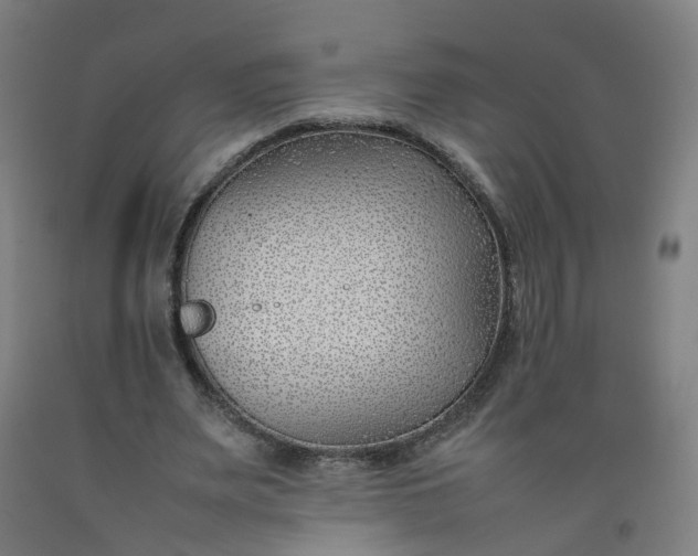 X0000092240487200709281127