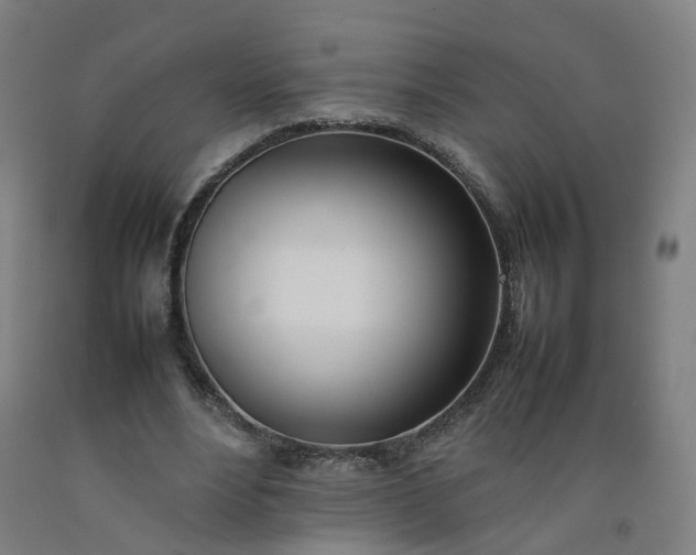 X0000092240488200709281127