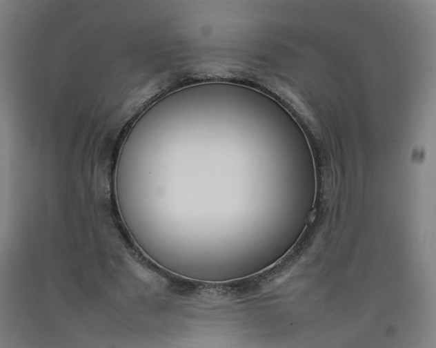 X0000092240489200709281127