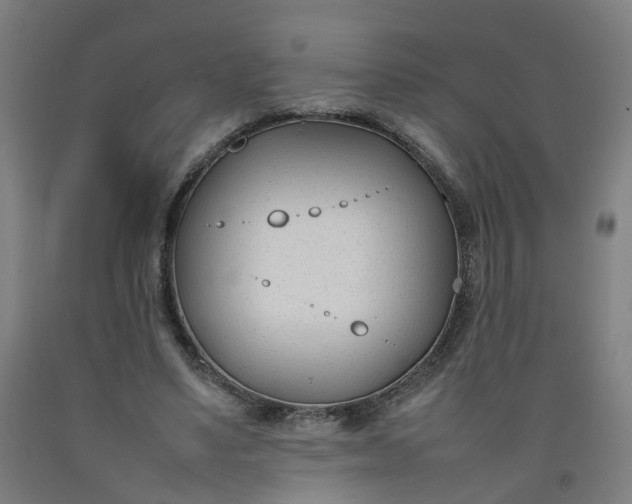 X0000092240491200709281127