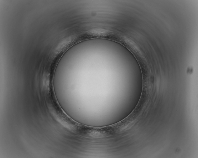 X0000092240494200709281127