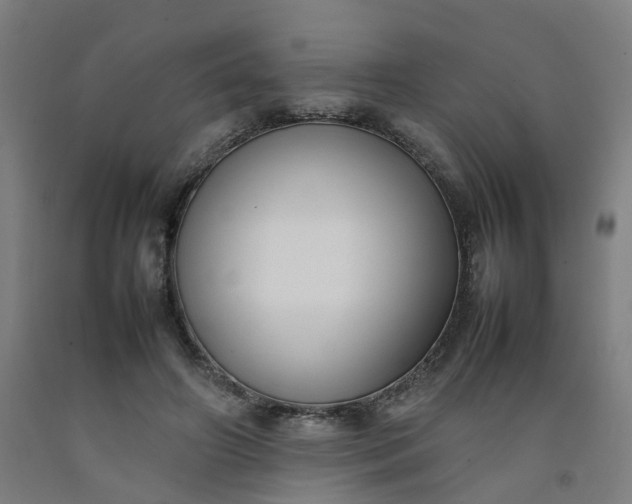 X0000092240498200709281127