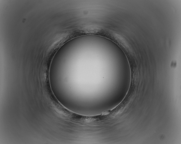 X0000092240501200709281127