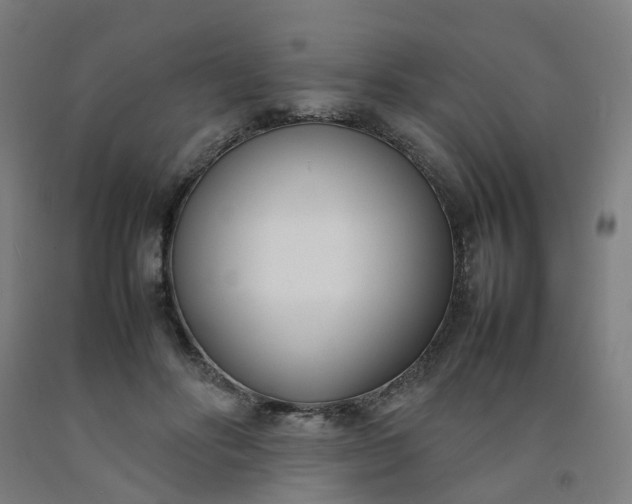 X0000092240502200709281127