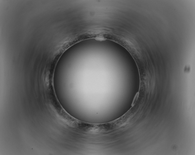 X0000092240504200709281127