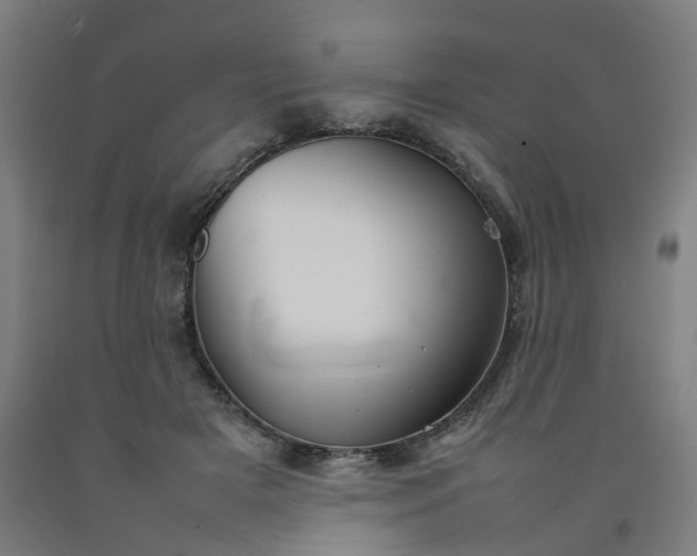 X0000092240505200709281127